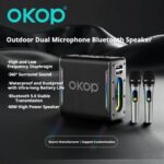 Karaoke Speaker System KP-8001 Wireless Microphone Bluetooth Speaker