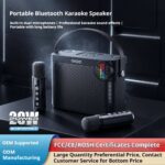 Karaoke Speaker System KP-K09 Wireless Bluetooth Karaoke Microphone and Speaker
