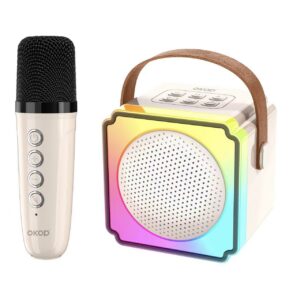 Karaoke Speaker System