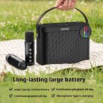 Karaoke Speaker System KP-K09 Wireless Bluetooth Karaoke Microphone and Speaker