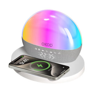 Wireless Charging Bluetooth Speaker