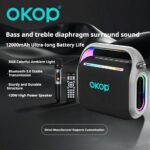 Karaoke Speaker System KP-8003 Wireless Microphone Bluetooth Speaker